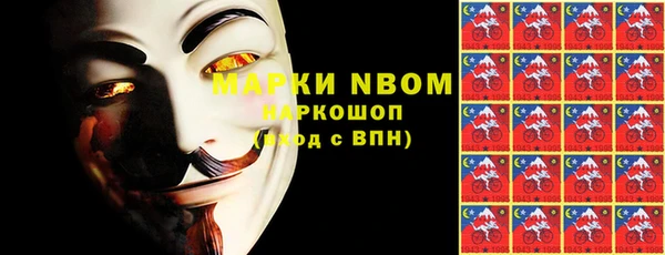 гашик Козельск