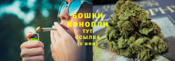 молекула духа Козловка