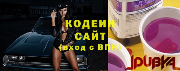 гашик Козельск