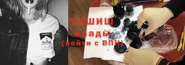 гашик Козельск
