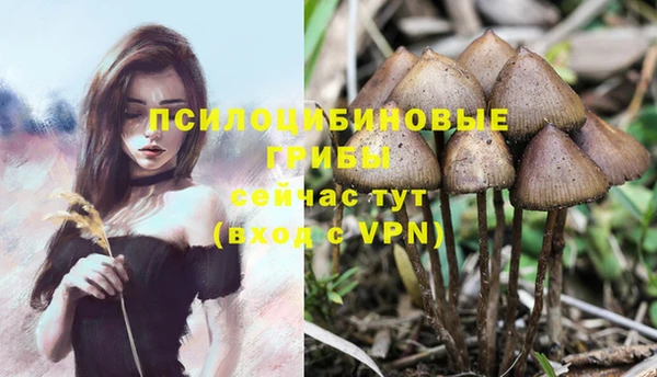 молекула духа Корсаков