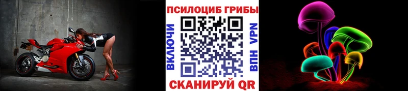 где можно купить наркотик Алексеевка Псилоцибиновые грибы MAGIC MUSHROOMS
