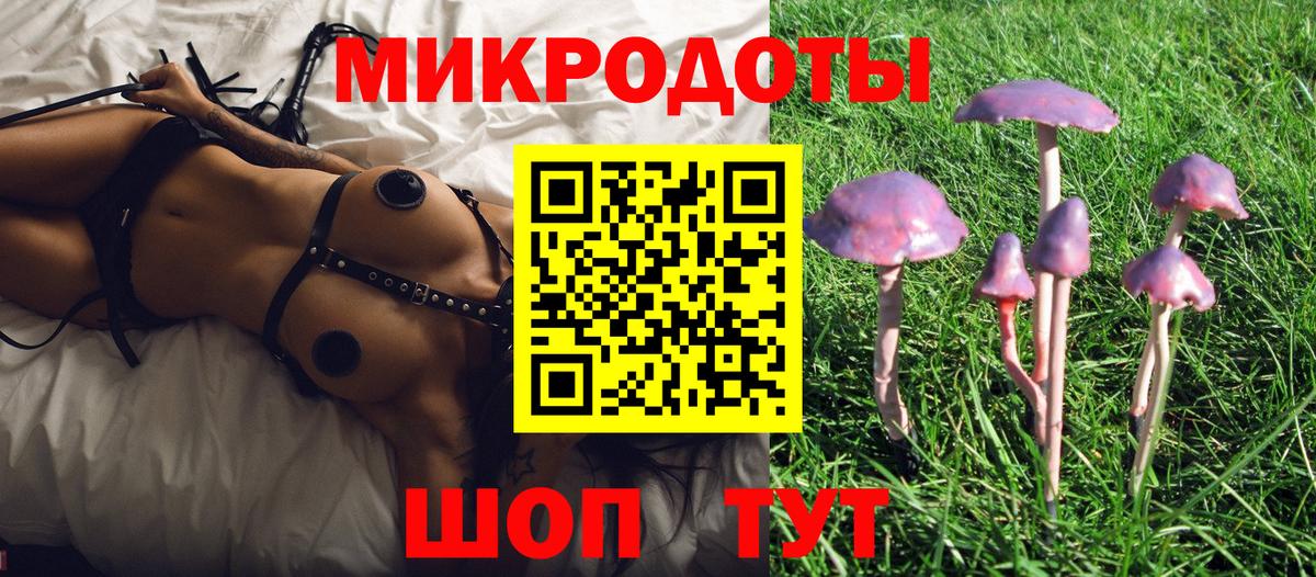 Галлюциногенные грибы Psilocybe  Вход с VPN  Алексеевка 