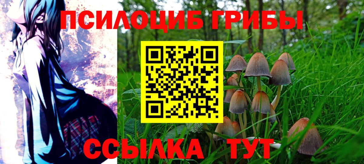 Галлюциногенные грибы мухоморы  Алексеевка  Псилоцибиновые грибы MAGIC MUSHROOMS 