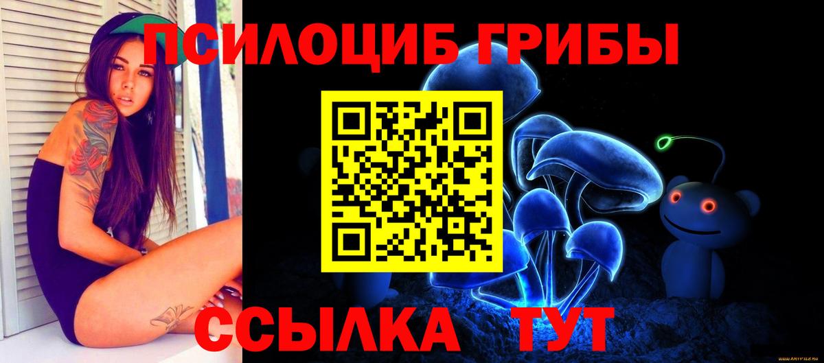 Псилоцибиновые грибы прущие грибы Алексеевка