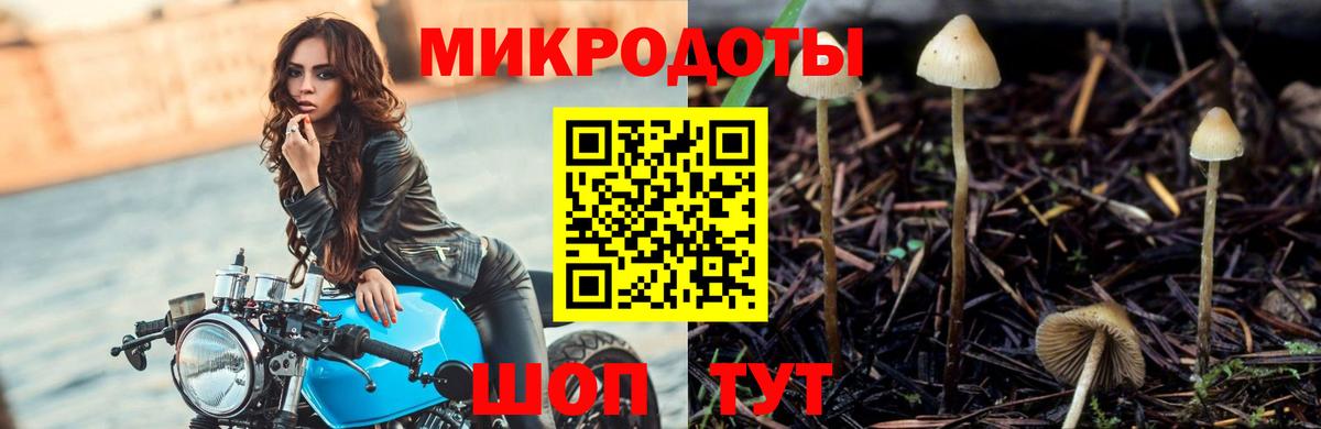 Алексеевка  Псилоцибиновые грибы Psilocybe  Вход с VPN 