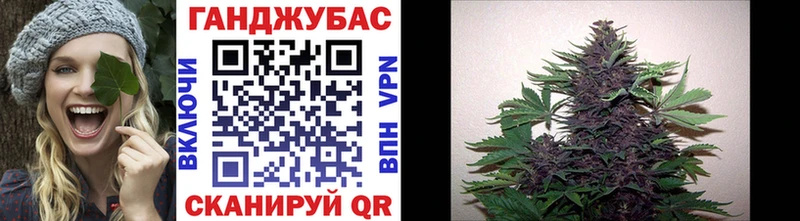 Шишки марихуана марихуана  Алексеевка 